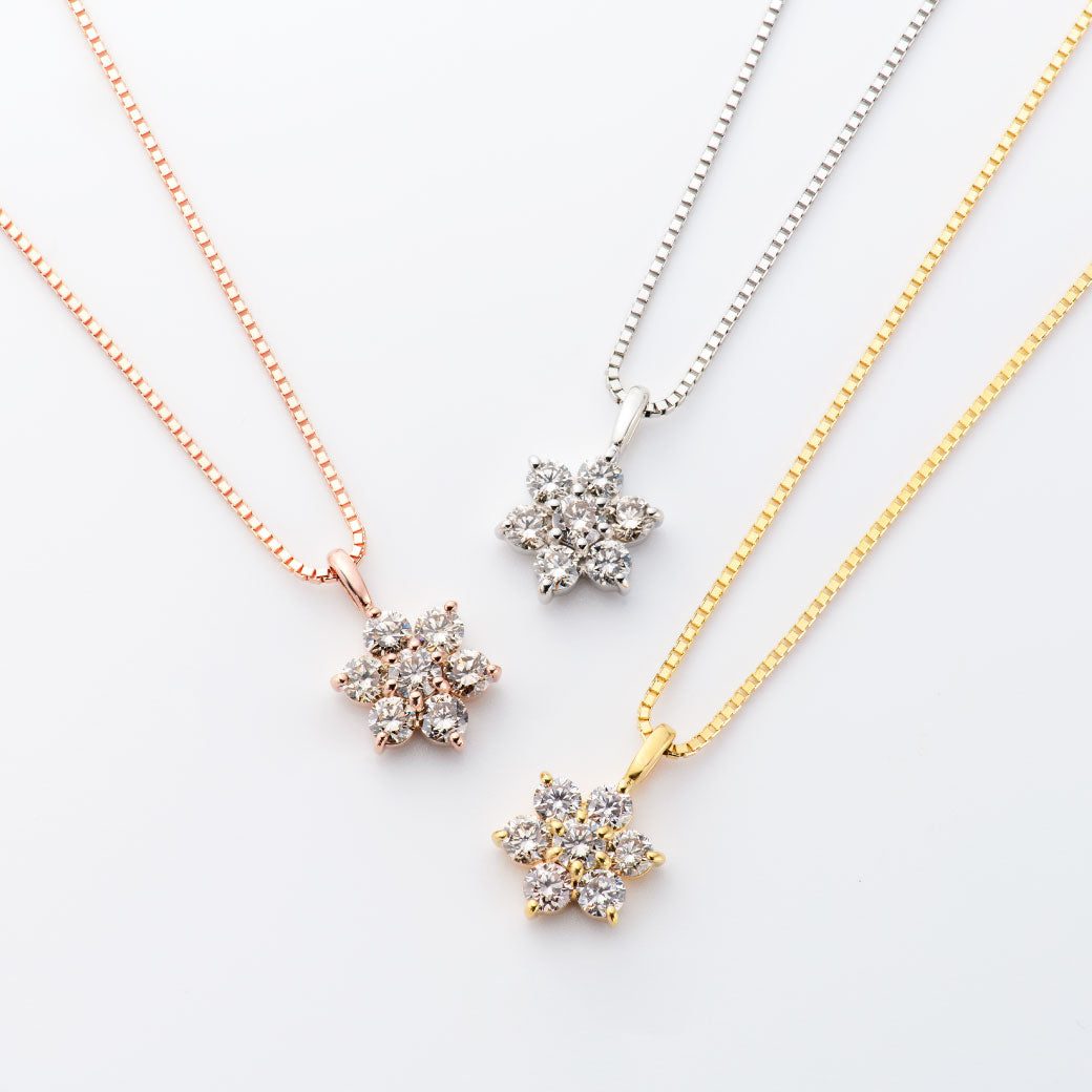 FEATURE_2025SEVEN_STARS.jpg?v=