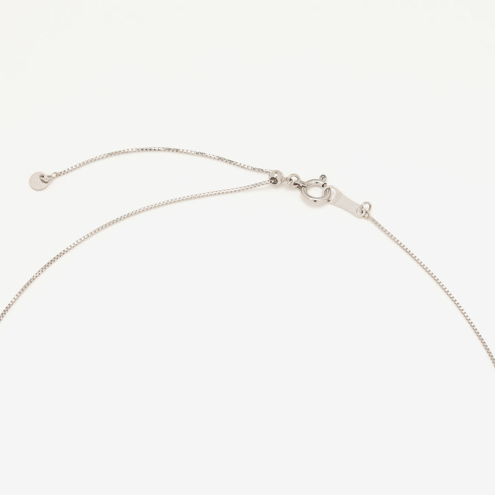 プラチナ ダイヤモンド 馬蹄 ネックレス（0.3ct）<鑑定書付&gt