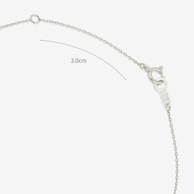 プラチナ ダイヤモンド 馬蹄 ネックレス