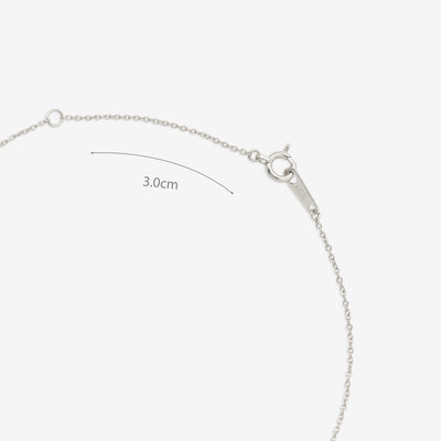 【WEB限定】プラチナ ダイヤモンド フラワー ネックレス