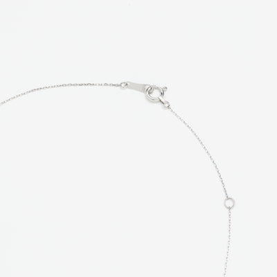 【WEB限定】8月誕生石 プラチナ ペリドット ネックレス