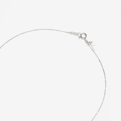 【WEB限定】6月誕生石 プラチナ アレキサンドライト しずく ネックレス