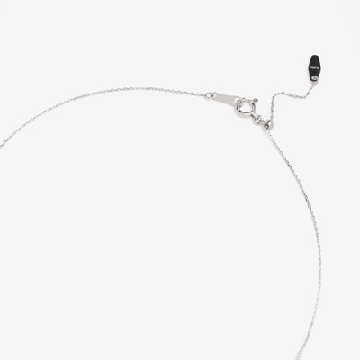 【WEB限定】6月誕生石 プラチナ アレキサンドライト しずく ネックレス