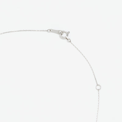 【WEB限定】12月誕生石 プラチナ タンザナイト しずく ネックレス