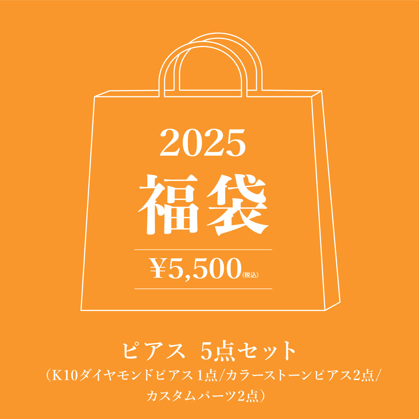 【5,000円】WEB限定 2025 福袋（ピアス&チャーム 5点セット ）